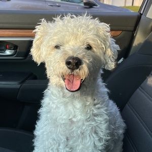 Meet your Posher, Valentina